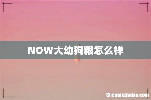 NOW大幼狗粮怎么样