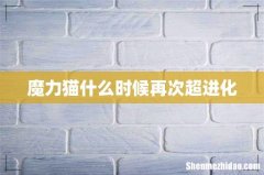 魔力猫什么时候再次超进化