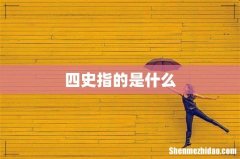 四史指的是什么