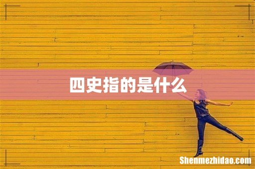 四史指的是什么