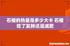 石榴的热量是多少大卡 石榴吃了发胖还是减肥
