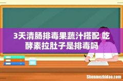 3天清肠排毒果蔬汁搭配 吃酵素拉肚子是排毒吗