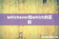 whichever和which的区别