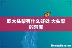 吃大头梨有什么好处 大头梨的营养