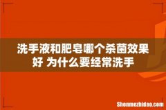 洗手液和肥皂哪个杀菌效果好 为什么要经常洗手