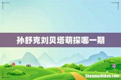 孙舒克刘贝塔萌探哪一期
