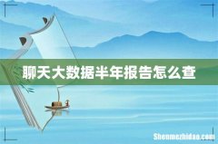聊天大数据半年报告怎么查