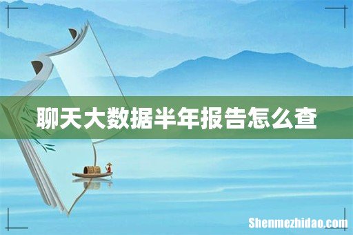 聊天大数据半年报告怎么查