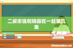 二叔志强和晓薇在一起第几集