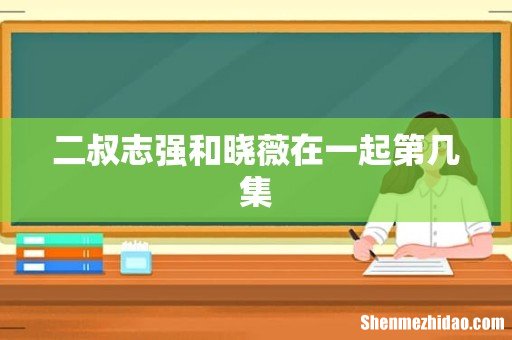 二叔志强和晓薇在一起第几集