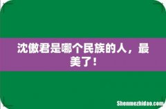 沈傲君是哪个民族的人，最美了！