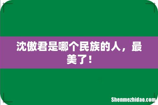 沈傲君是哪个民族的人,最美了!