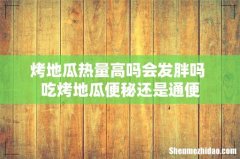 烤地瓜热量高吗会发胖吗 吃烤地瓜便秘还是通便