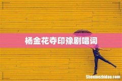 杨金花夺印豫剧唱词