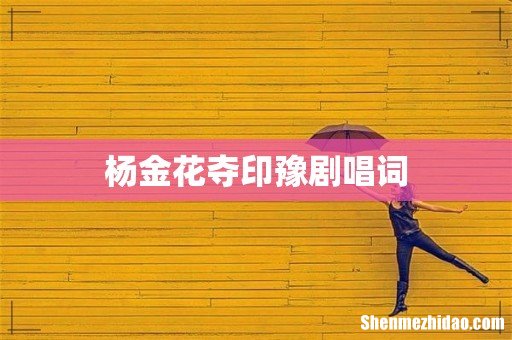 杨金花夺印豫剧唱词