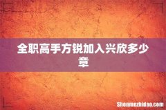 全职高手方锐加入兴欣多少章