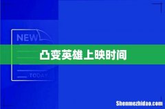 凸变英雄上映时间
