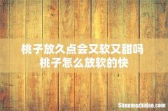 桃子放久点会又软又甜吗 桃子怎么放软的快