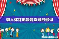 想入你怀抱是哪首歌的歌词