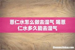薏仁水怎么做去湿气 喝薏仁水多久能去湿气