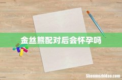 金丝熊配对后会怀孕吗