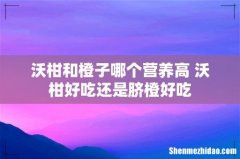 沃柑和橙子哪个营养高 沃柑好吃还是脐橙好吃
