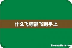 什么飞镖能飞到手上