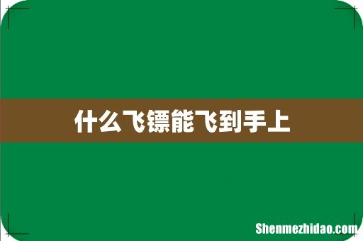 什么飞镖能飞到手上