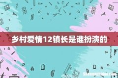 乡村爱情12镇长是谁扮演的