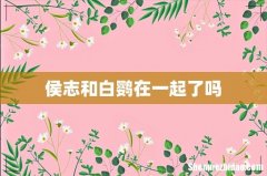 侯志和白鹦在一起了吗
