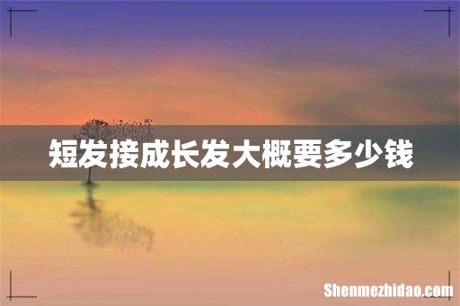 短发接成长发大概要多少钱