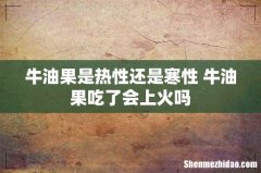 牛油果是热性还是寒性 牛油果吃了会上火吗