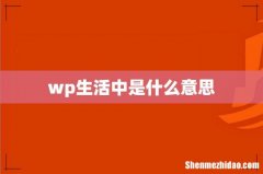 wp生活中是什么意思