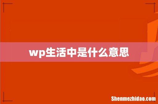 wp生活中是什么意思