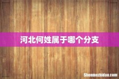 河北何姓属于哪个分支