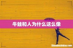 牛蛙和人为什么这么像