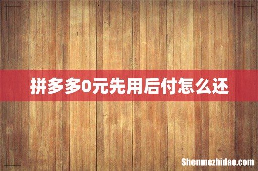 拼多多0元先用后付怎么还