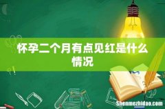 怀孕二个月有点见红是什么情况