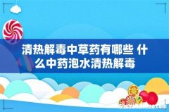 清热解毒中草药有哪些 什么中药泡水清热解毒