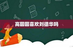 高圆圆喜欢刘德华吗