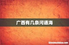 广西有几条河通海