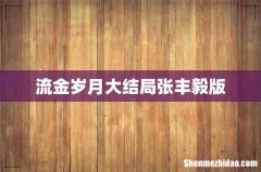 流金岁月大结局张丰毅版