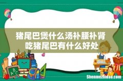 猪尾巴煲什么汤补腰补肾 吃猪尾巴有什么好处