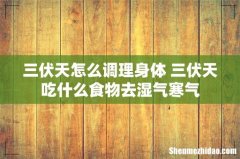 三伏天怎么调理身体 三伏天吃什么食物去湿气寒气