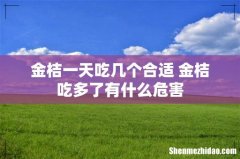 金桔一天吃几个合适 金桔吃多了有什么危害