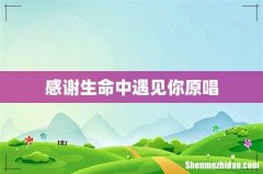 感谢生命中遇见你原唱