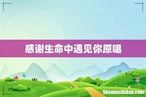感谢生命中遇见你原唱