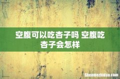 空腹可以吃杏子吗 空腹吃杏子会怎样
