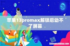 苹果13promax解锁后动不了屏幕