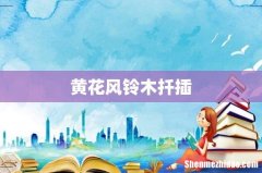 黄花风铃木扦插